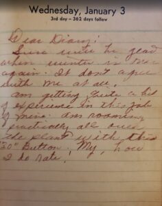 handwritten pages in a diary