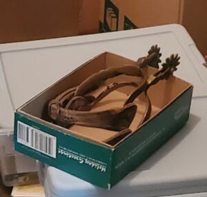 stirrupus in a box