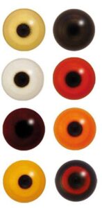 taxidermy eyes for birds